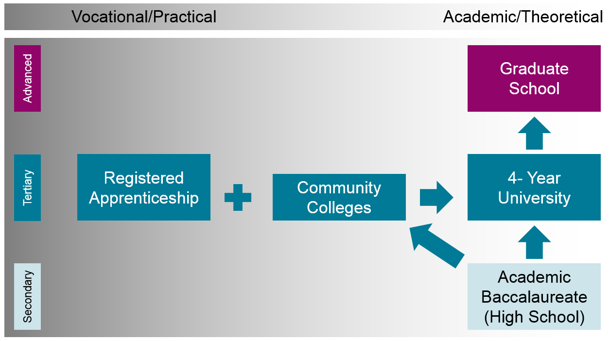 Enlarged view: Figure 2: Simplified American system with "missing" programs at several levels and in several pathways, as well as "missing" cross-walks and progression routes