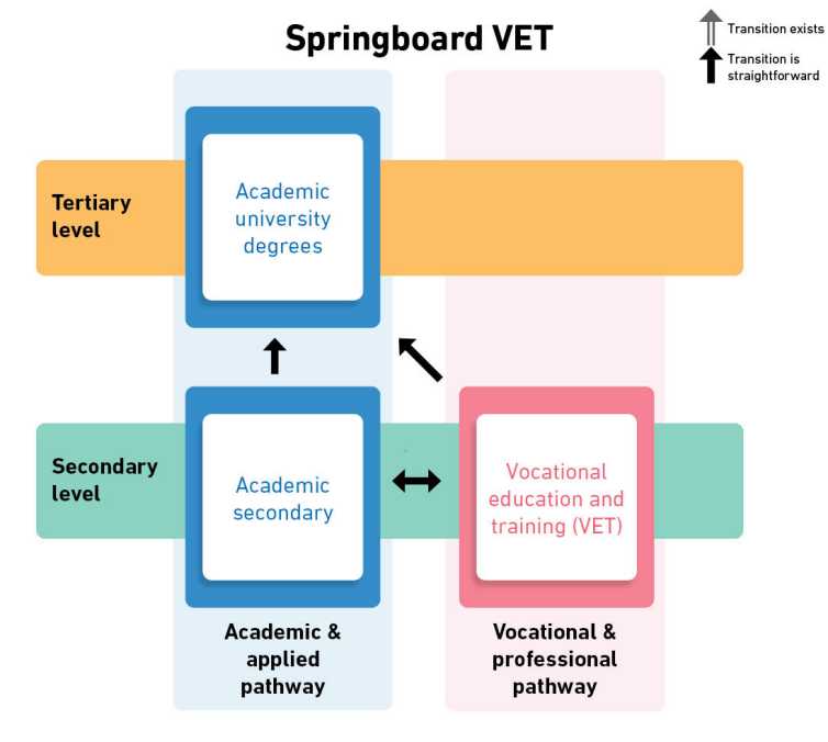 Enlarged view: Springboard VET permeability type